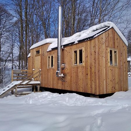 Villa Celoroční GLAMPING v pohodlném domečku Výprachtice Exterior foto