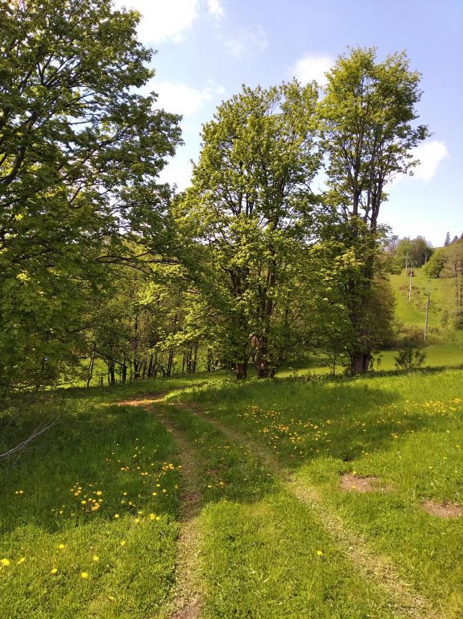Villa Celoroční GLAMPING v pohodlném domečku Výprachtice Exterior foto