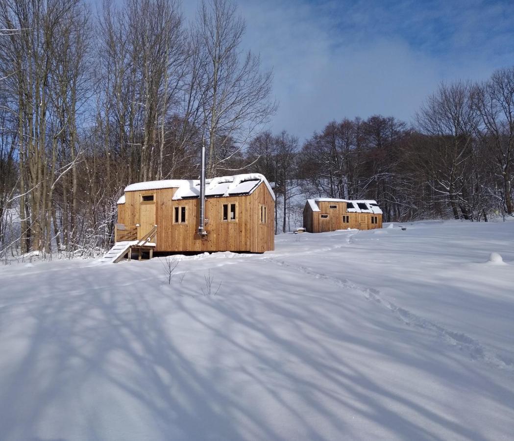 Villa Celoroční GLAMPING v pohodlném domečku Výprachtice Exterior foto